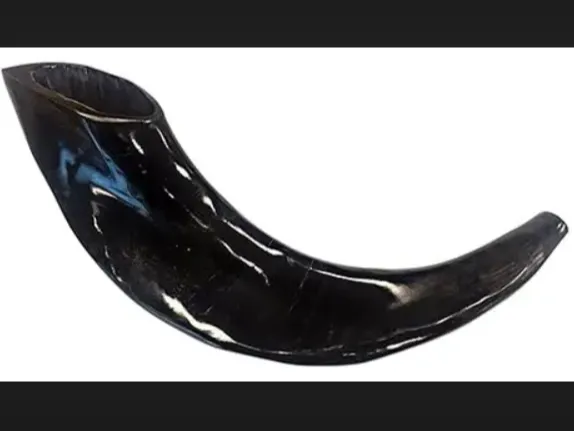 shofar david