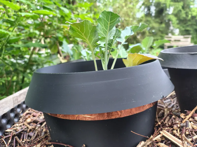 Snailguard Copper Tape