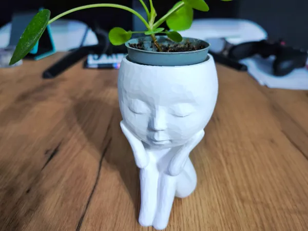 https://makerworld.bblmw.com/makerworld/model/US9dc9fa0ac3f04c/design/2025-08-26_d3d5c2a6814988.jpg