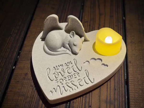 https://makerworld.bblmw.com/makerworld/model/US9dd080128044d9/design/2026-01-06_a07c4beed5af48.jpg