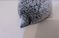 企鵝小尾巴 0.2mm layer, 2 walls, 8% infill