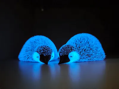 Lying Fluffy Little Penguin