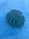 Basic scale - 0.2mm layer, 3 walls, 19% infill