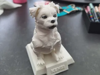 Puppy