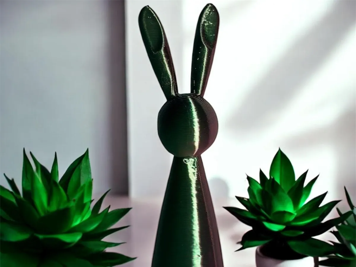 Lapin minimaliste