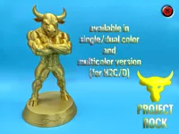 single/dualcolor (X/P/A/H) 0.2mm layer, 3 walls, 10% infill