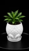 Alien Head with drip tray planter