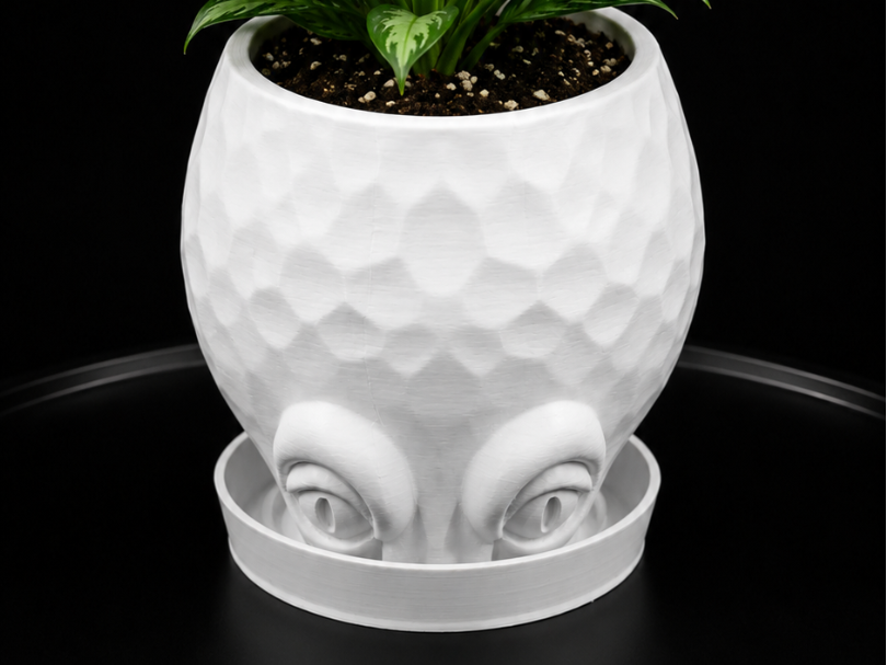 Alien Face Plant Pot - With Drip tray
