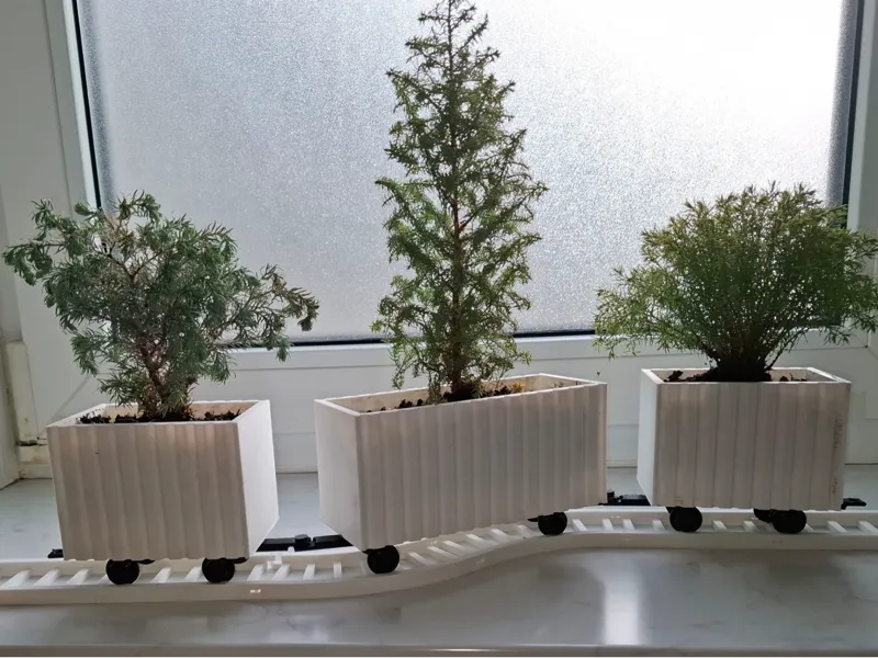 gondola rail car flower pot / planter