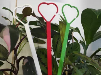 plant holder