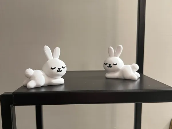 https://makerworld.bblmw.com/makerworld/model/US9de47e19867989/design/2025-04-03_4d6b483e011f78.jpg