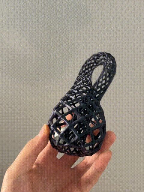 Voronoi Klein Bottle