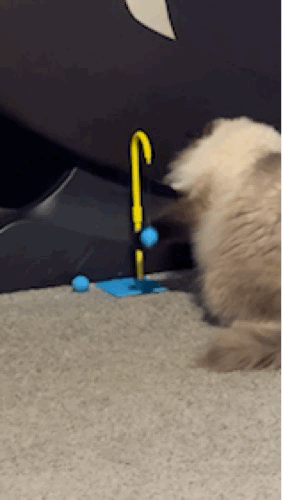Kitty Tetherball
