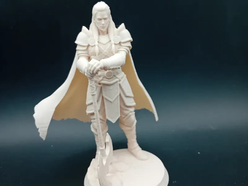 Dnd armoured giant with axe-d&d warrior large mini