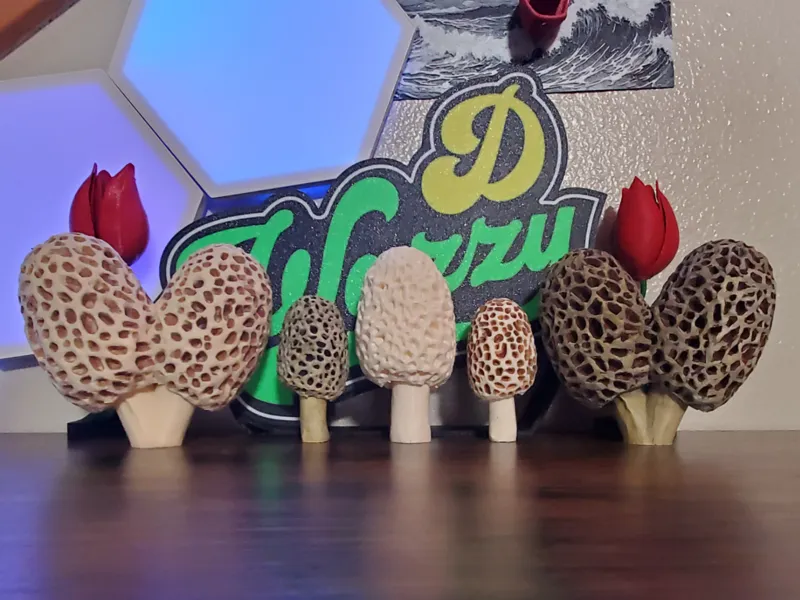 Morel Amore and Singles