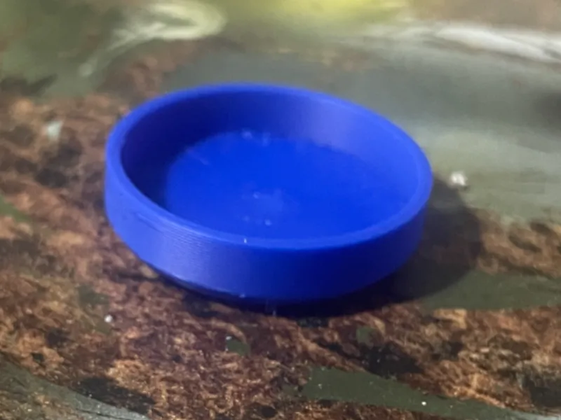 Magnetic Bottle Cap
