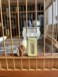0.2mm 层高, 2 层墙, 15% 填充