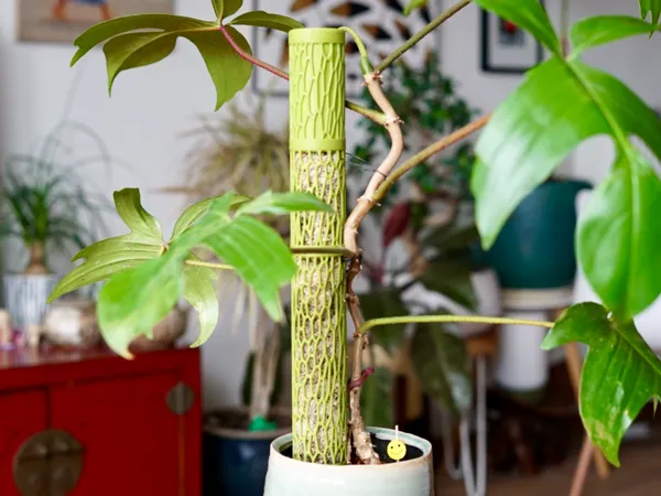 https://makerworld.bblmw.com/makerworld/model/US9df7c5f7e0d49/design/2025-12-06_426e7286722678.jpg