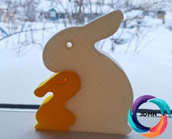 https://makerworld.bblmw.com/makerworld/model/US9df864daadd013/design/2024-03-13_70ca924f13179.jpg