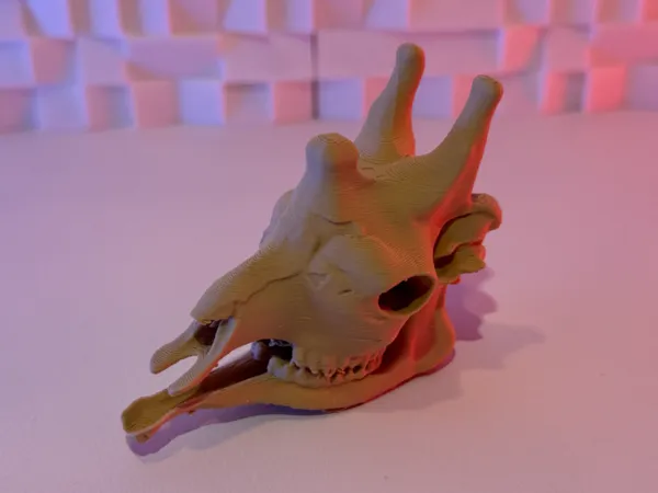 https://makerworld.bblmw.com/makerworld/model/US9dfb62123e4b80/design/2025-07-07_3527345a42848.jpg