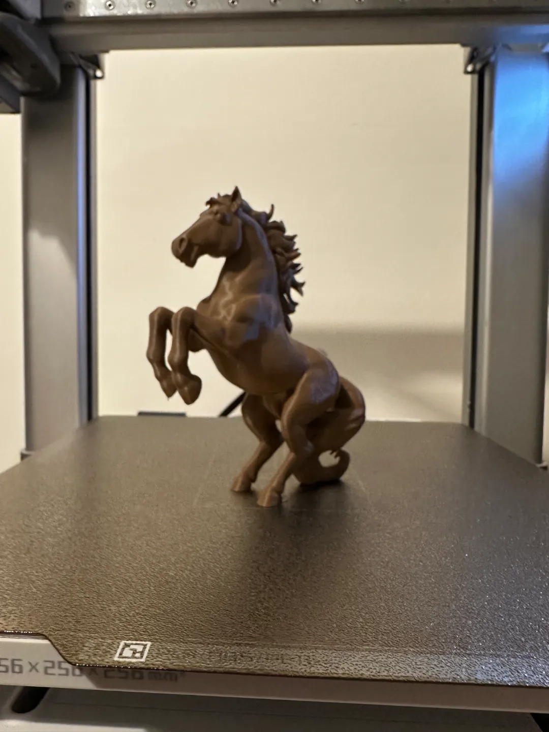 Rearing Horse view 4