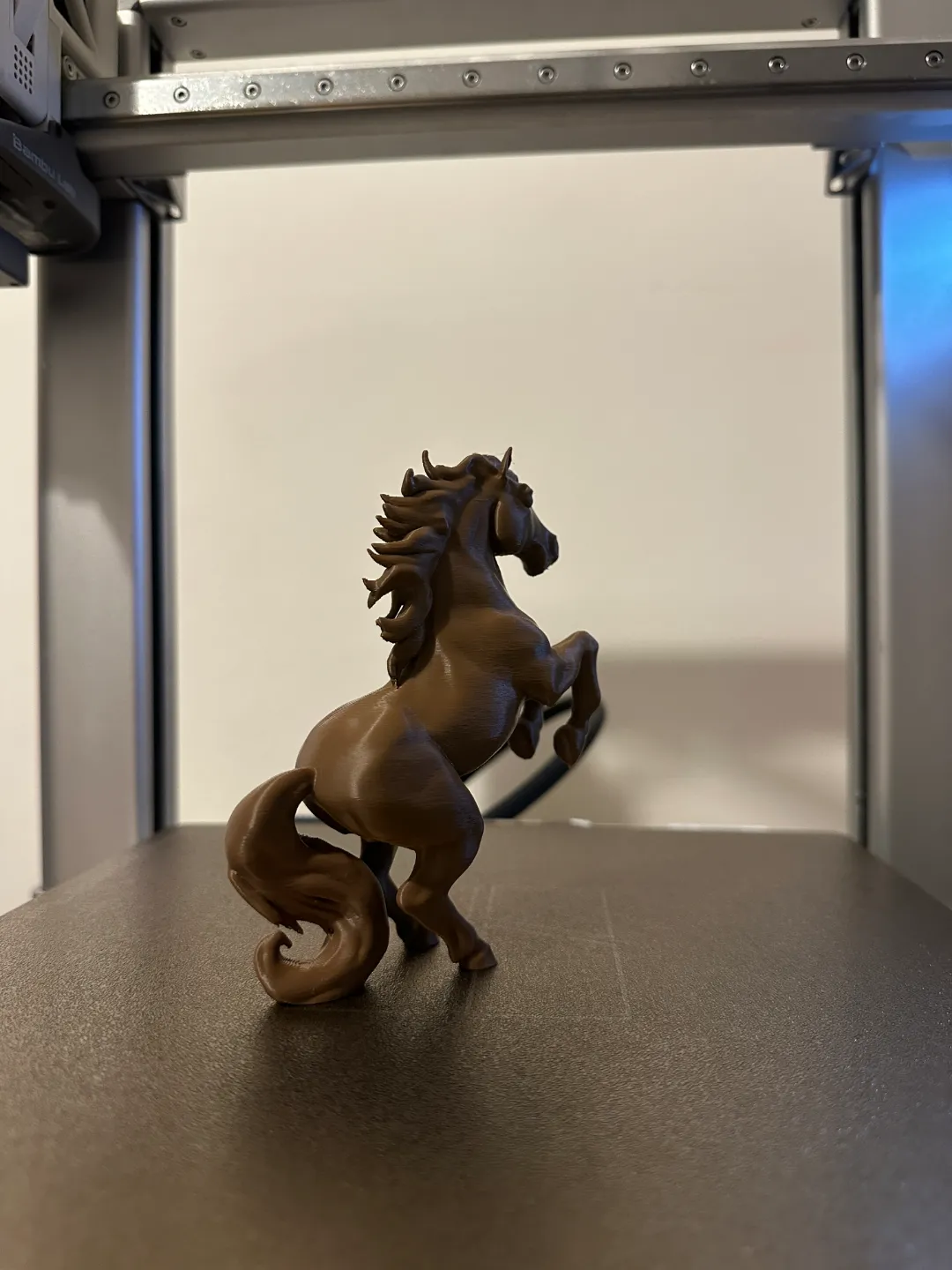 Rearing Horse view 2