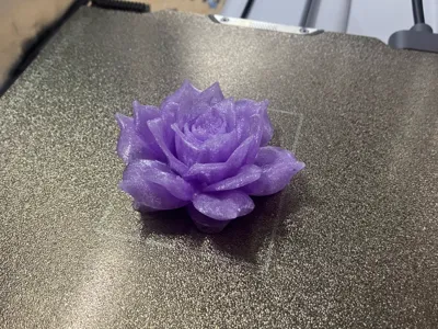 Cheerful Rose