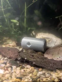 Piège d'aquarium à trou de 2 mm — photo 2