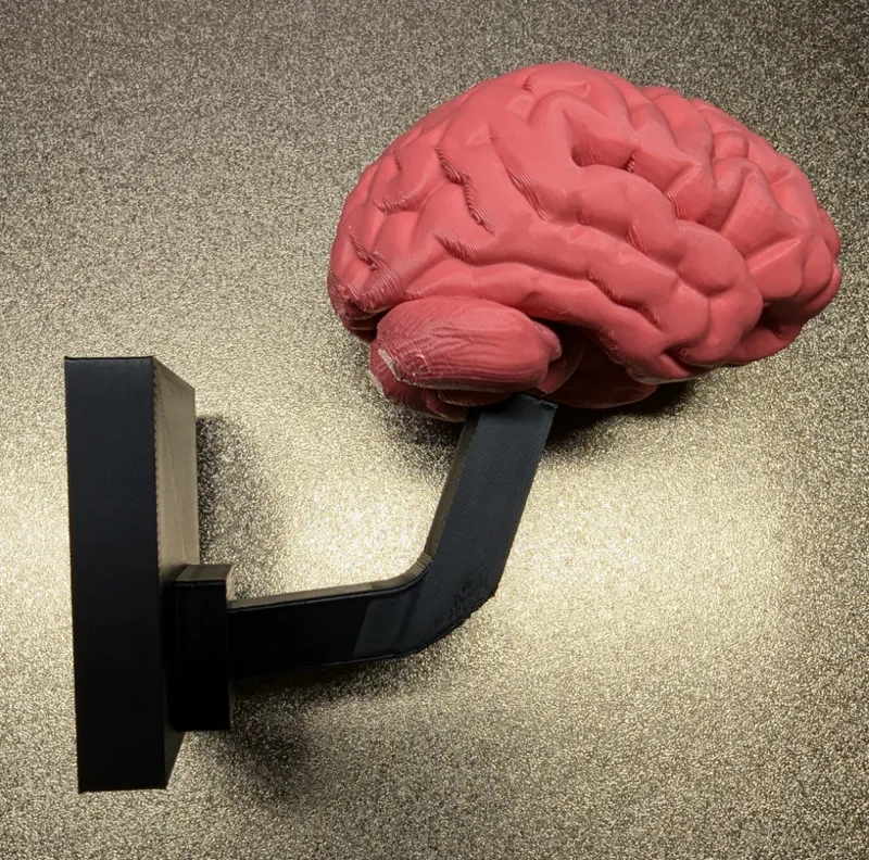 Brain Hook