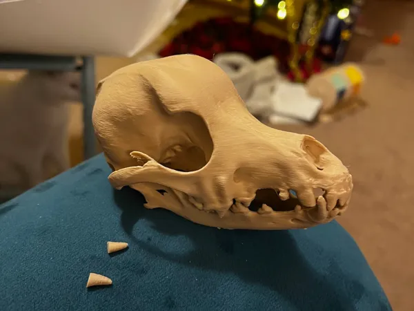 https://makerworld.bblmw.com/makerworld/model/US9e0776afaa4881/design/2024-12-19_5f0e01320c7ee.jpg