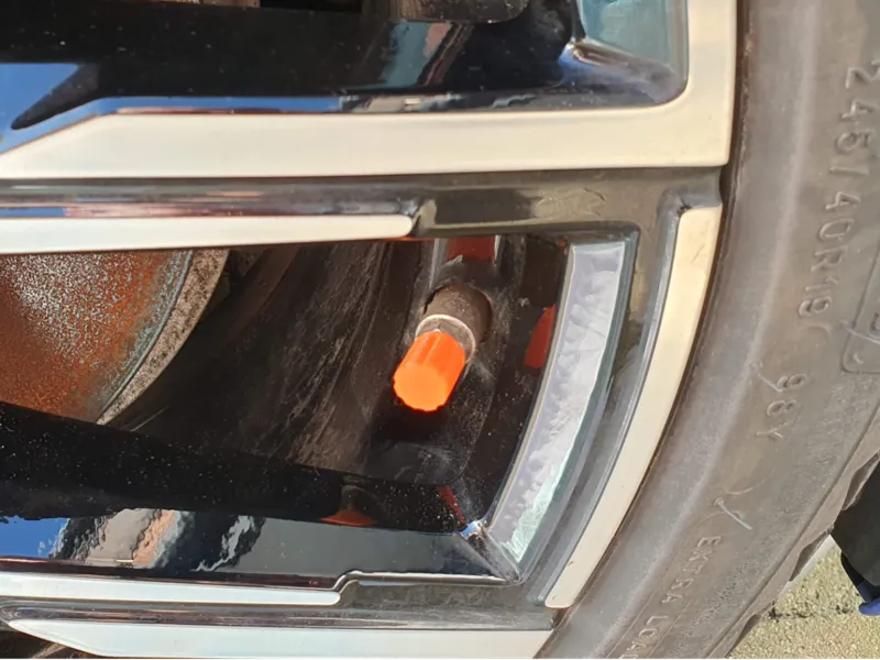 Valve Dust Cap - Basic