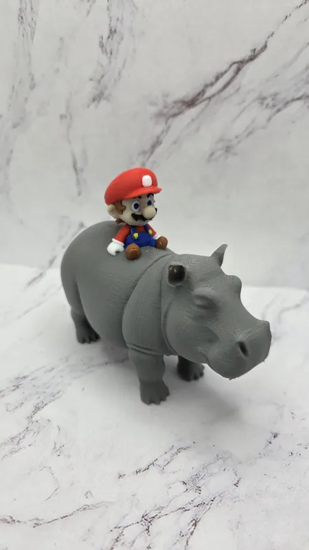 Mario Riding Hippo