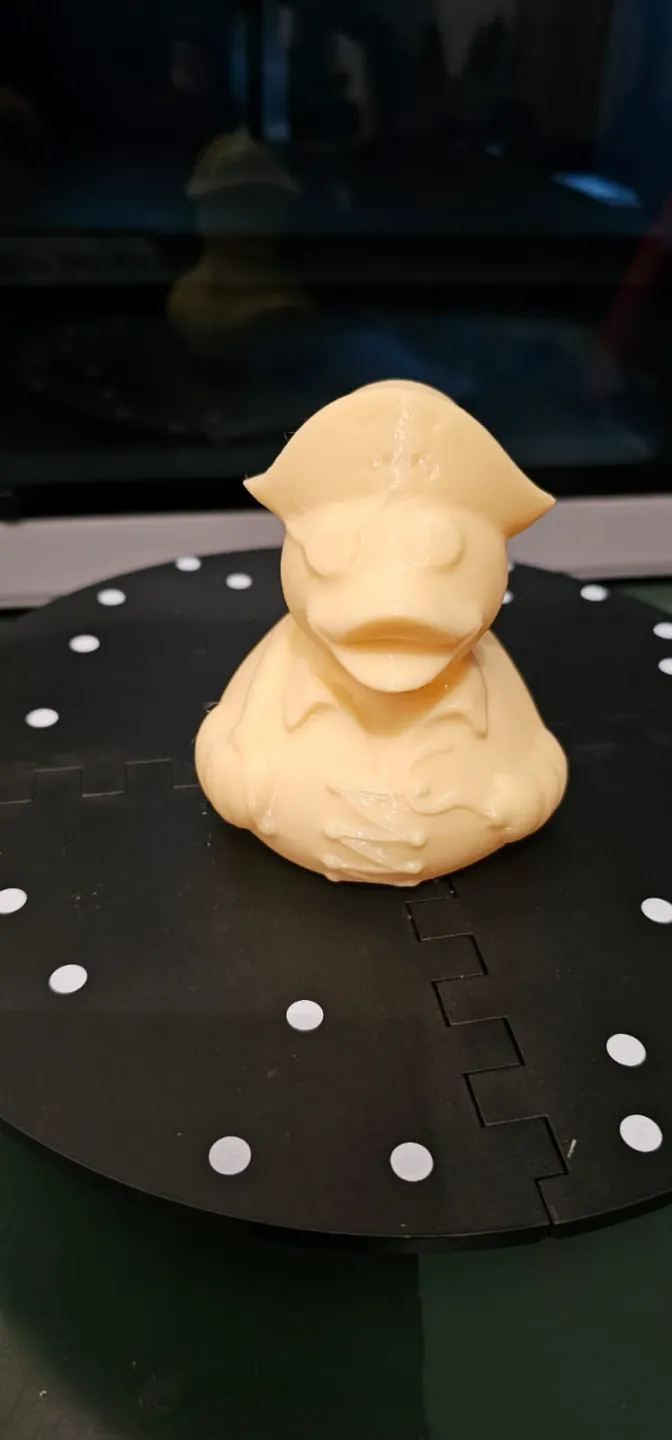 Duck the pirate