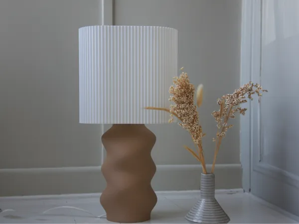 https://makerworld.bblmw.com/makerworld/model/US9e0adbdd86f0cd/design/2025-01-20_af32fbea508a3.png