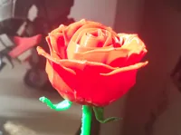 Rose luminescente à tige — photo 1