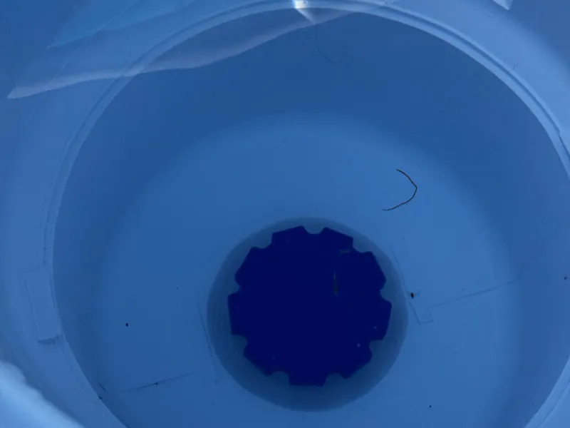 Pool Plug Set for Marimex Olympic Skimmer and Jet