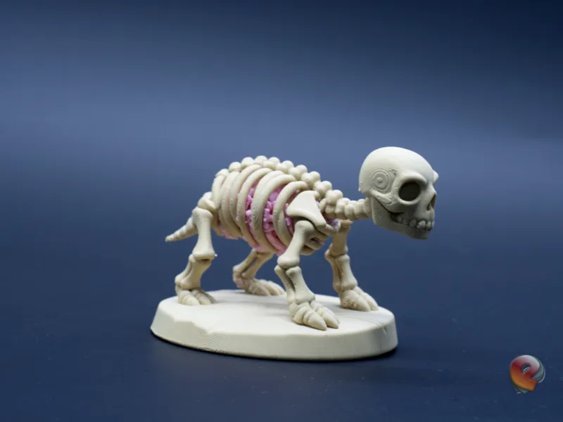Skeletal Turtle