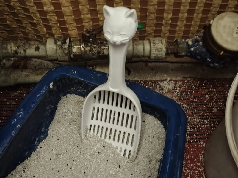 Cute Cat Litter Scoop