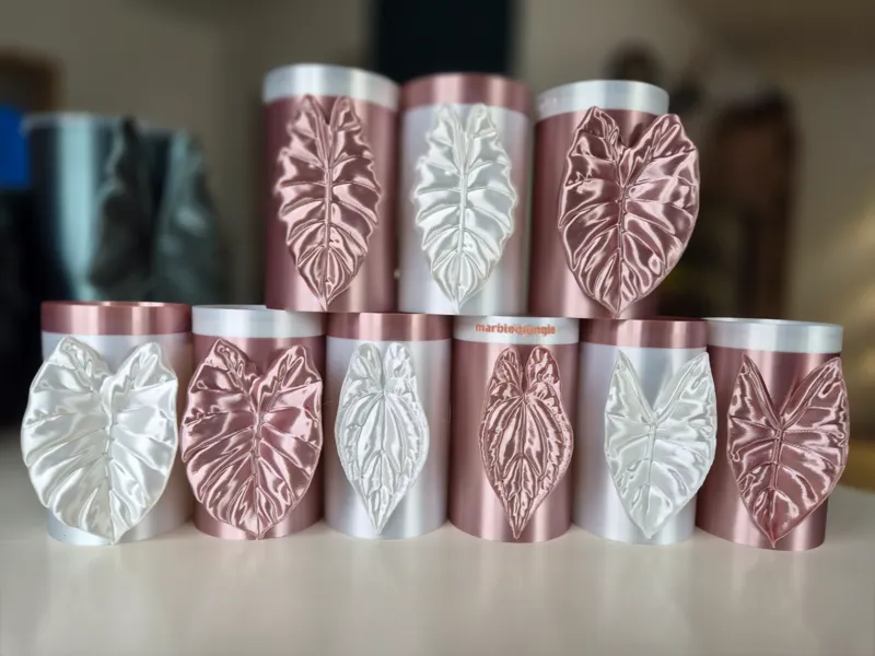 Alocasia Mini Topf Set zur Pflanzen Anzucht Set 2