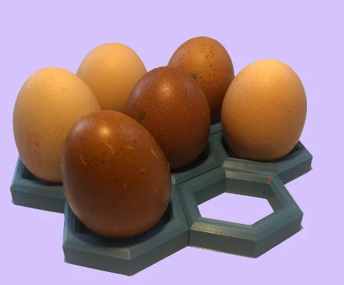 Hexagonal Egg Holder