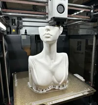 0.12mm layer, 2 walls, 15% infill