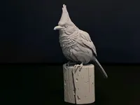 0.08mm layer, 2 walls, 5% infill