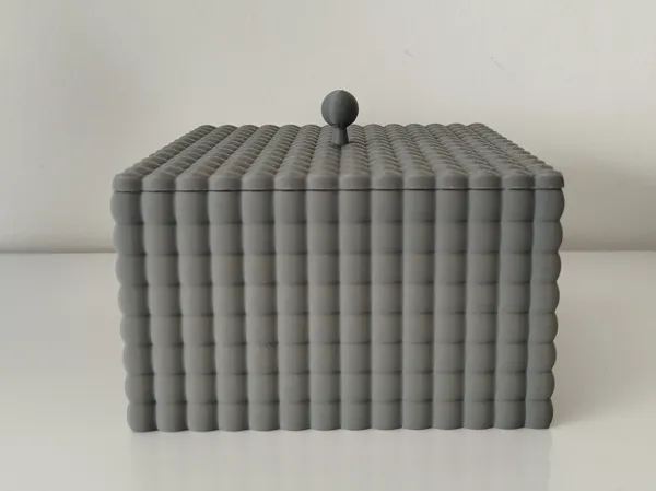 https://makerworld.bblmw.com/makerworld/model/US9e2feca33aad37/design/2025-06-04_00493df101d7f8.jpg