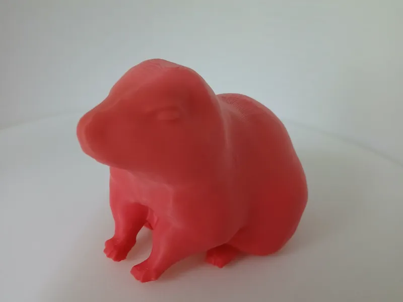 Capybara