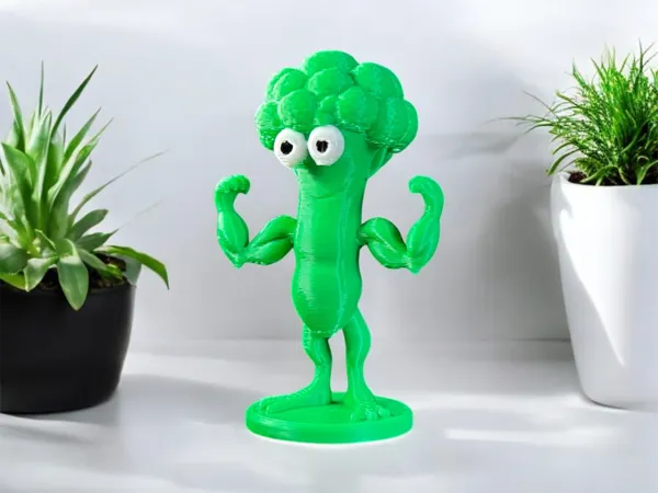 https://makerworld.bblmw.com/makerworld/model/US9e3b618c65a7d5/design/2025-01-12_d2bc950856cf18.jpg