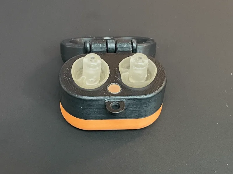 Ear Plug Case
