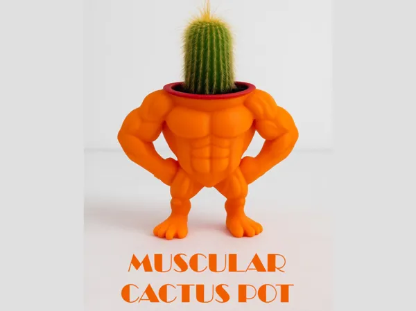 https://makerworld.bblmw.com/makerworld/model/US9e3e92c540c037/design/2025-07-24_103fd27da13698.png