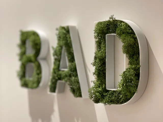 Moos Buchstaben // Moss Letters