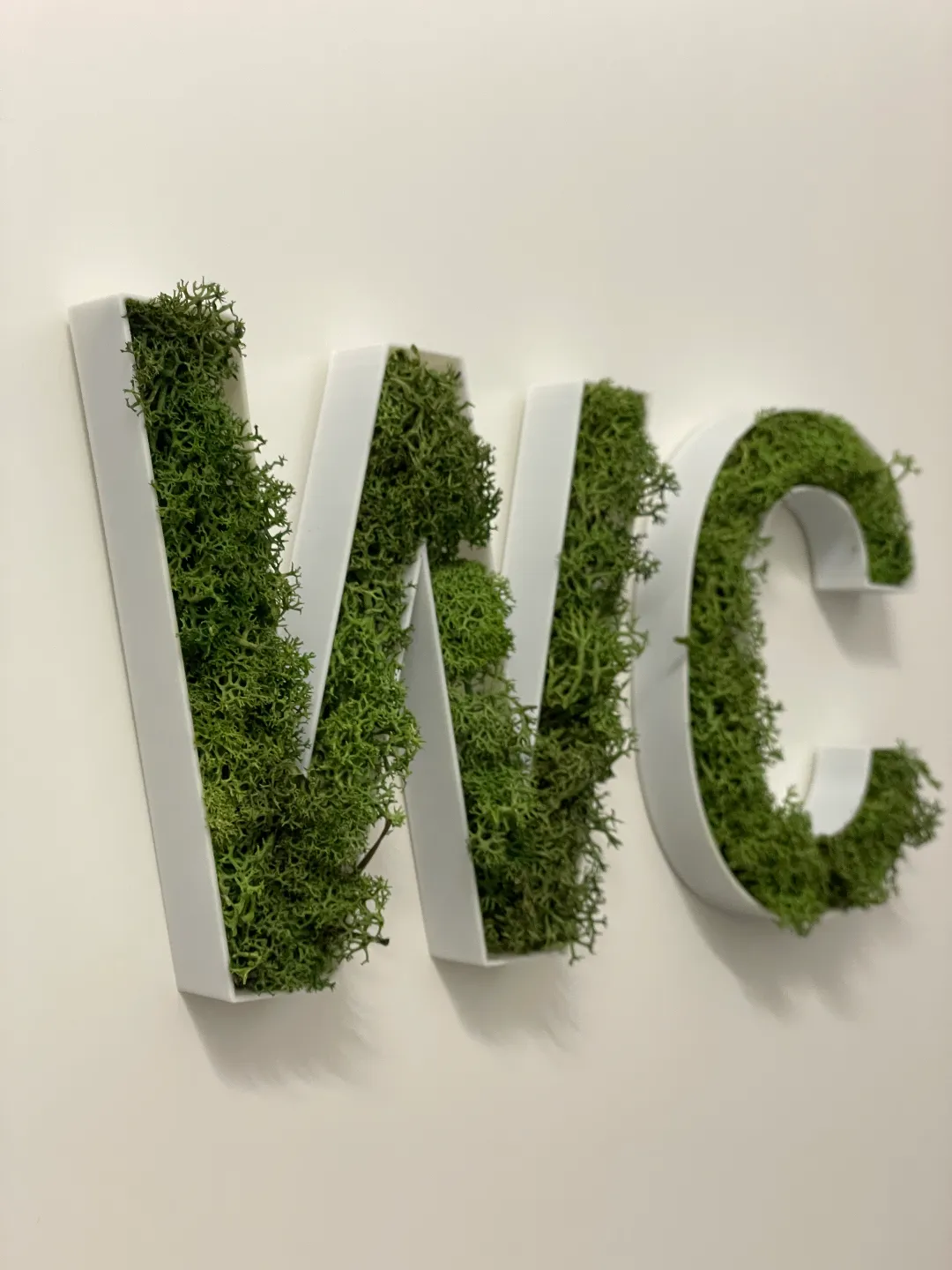 Moos Buchstaben // Moss Letters view 3