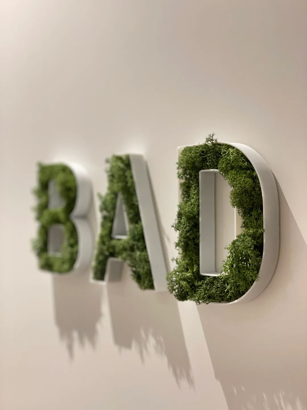Moos Buchstaben // Moss Letters view 2